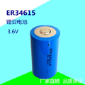 ER34615锂电池3.6V 智能水表设备仪器 PLC物联网流量计电池 1