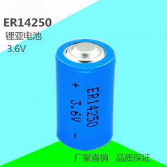 ER14250 1/2AA 3.6V 设备仪器PLC锂电池 