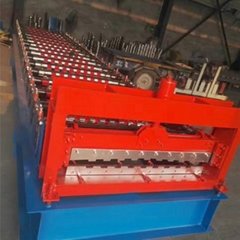 Cold Roll Forming Machine for Shutter