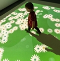 Indoor interactive floor game system 29