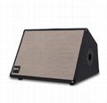 Dual 8 Inch Live Portable Speaker with Guitar Function with Mesh 1