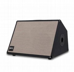 Dual 8 Inch Live Portable Speaker with Guitar Function with Mesh