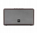 Bluetooth live Speaker dual portable speaker for indoor party