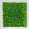 Plastic Natural Green artificial grass for garden decoration