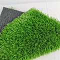 Plastic Natural Green artificial grass for garden decoration 4