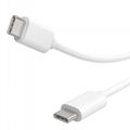 3A USB-C to USB-C (1m) Cable | Standard