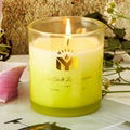 Scented Candle  Green Tea & Lime Fragrance  7.07 Oz Soy Wax 40 Hours Long L 2