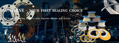 Ningbo Sunshine Sealing Technology Co., Ltd Ningbo Sunshine Sealing Technology Co., Ltd
