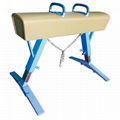 Factory Cheap Gymnastic Standard Pommel Horse