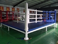 Aiba Standard Professional Boxing Ring, Prize Ring, Squared Circle