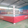 Aiba Standard Professional Boxing Ring, Prize Ring, Squared Circle
