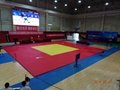 IJF Standard Judo Tatami Mat, Jiujitsu Mat, MMA Mat