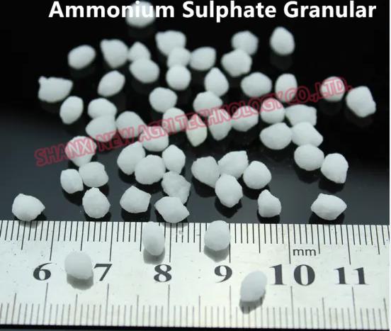 Ammonium Sulphate  2