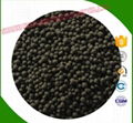 Humic Acid Granular  2