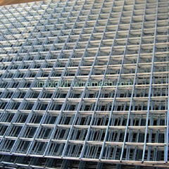 Galvanized Welded Wire Mesh Panel