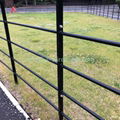 Estate Fence 1