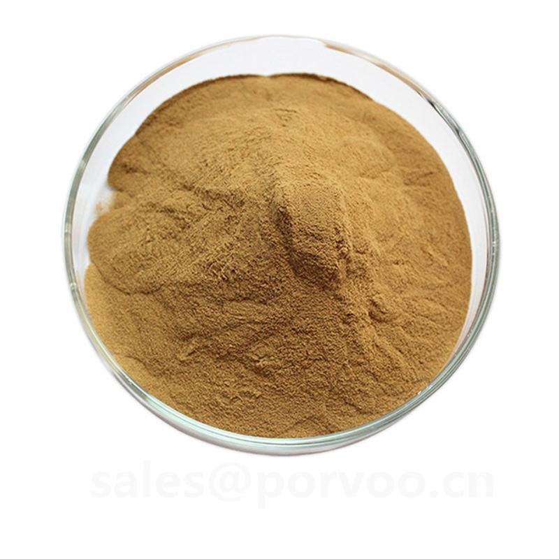 Wholesale Organic Ganoderma Extract, main functions of Ganoderma extract,Reishi  2