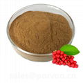 Schisandra extract,main functions of schisandra Fruit extract