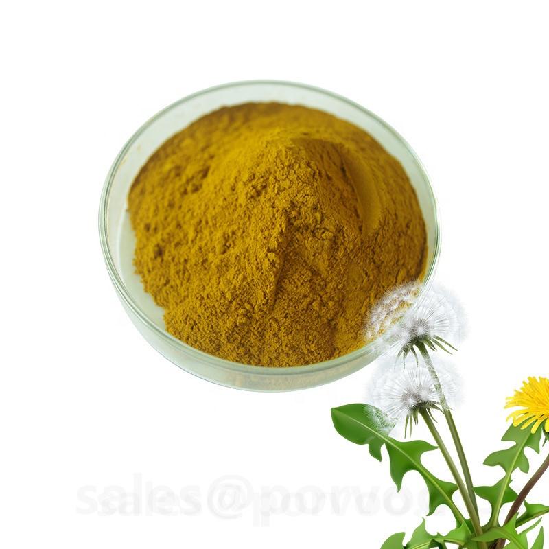 Health Supplement Natural Dandelion Extract , Dandelion Extract 3