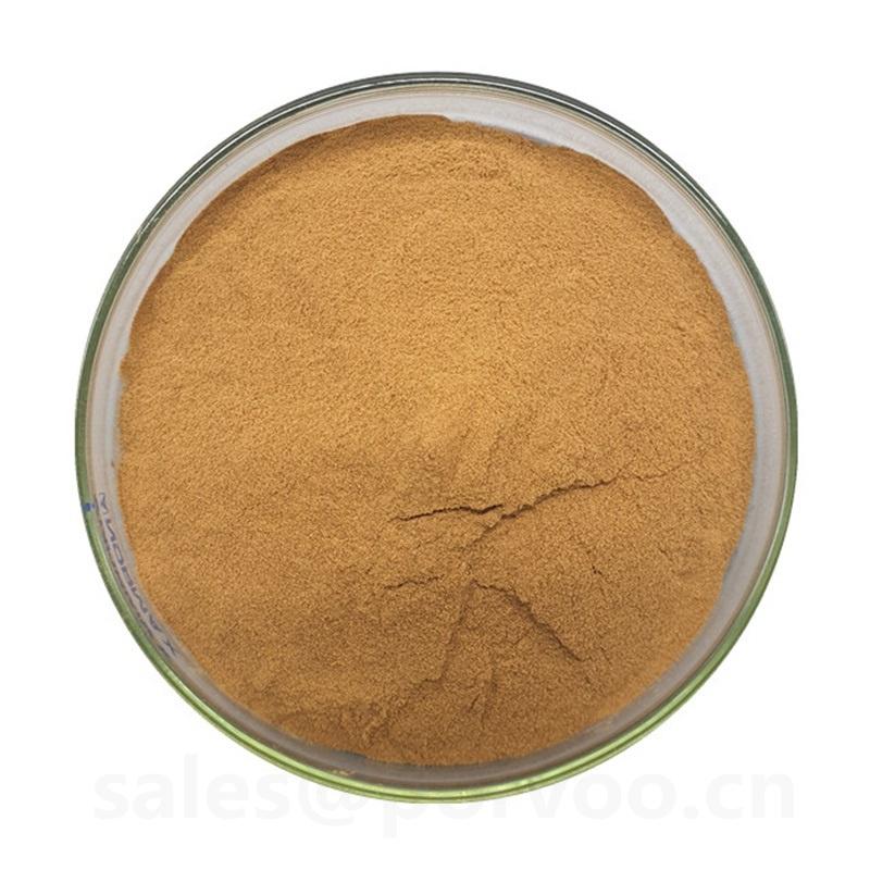 100% Pure Natural bacopa monnieri extract powder,The main benifits of Bacopa Ext 2