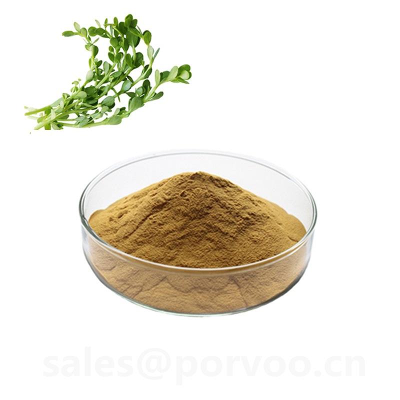 100% Pure Natural bacopa monnieri extract powder,The main benifits of Bacopa Ext 3