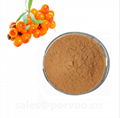 Sea buckthorn extract,Sea Buckthorn Factory, Hippophae rhamnoides extract for sk 1