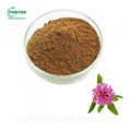 Natural Red Clover powder Isoflavones