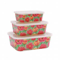 Flower Garden Leakproof Vacuum Container Red Food with Plastic Bamboo Fiber Lid 
