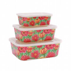 Flower Garden Leakproof Vacuum Container Red Food with Plastic Bamboo Fiber Lid