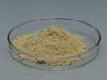 Factory supply  Epimedium Extract  powder  98% Icariin by UV HPLC powder  2