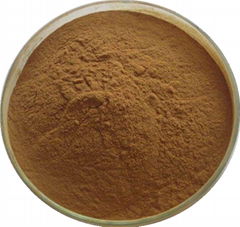 Natural Tribulus Terrestris Extract Powder 40%, 60%, 90% 98% Saponins