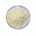 Natural Banana Powder