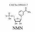 NMN Nicotinamide mononucleotide powder 1094-61-7