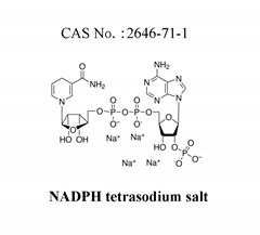 NADPH  Tetrasodium salt