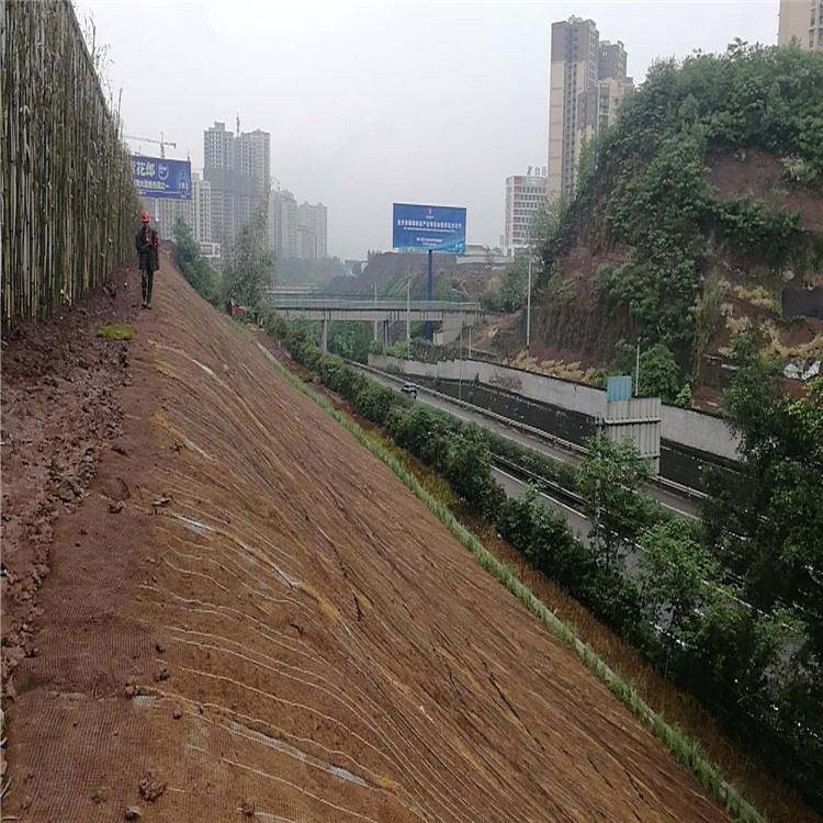抗沖生物毯 高速公路邊坡綠化 4