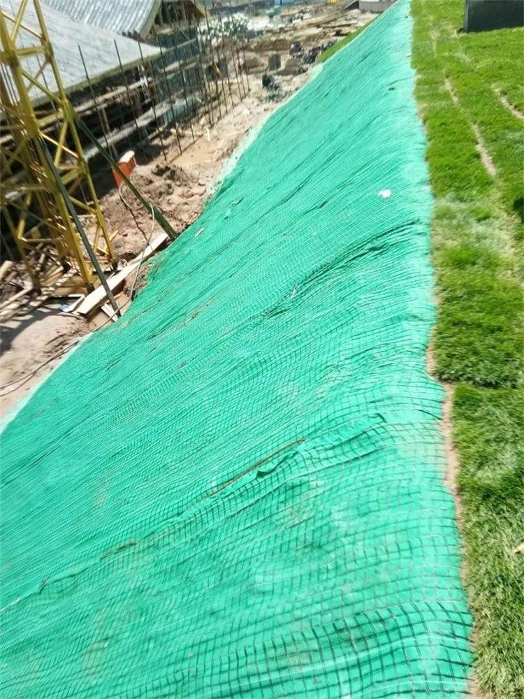 生態植被毯 鐵道邊坡綠化 5
