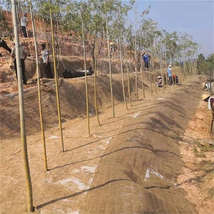 椰丝植物纤维毯 高速公路绿化养护 3