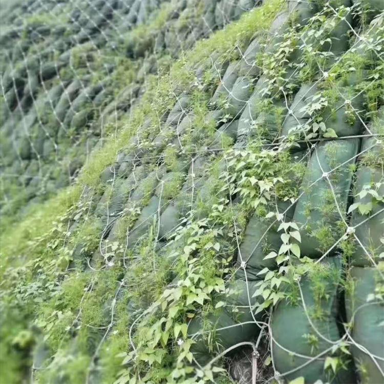 环保植生袋 网袋装土种草袋 5