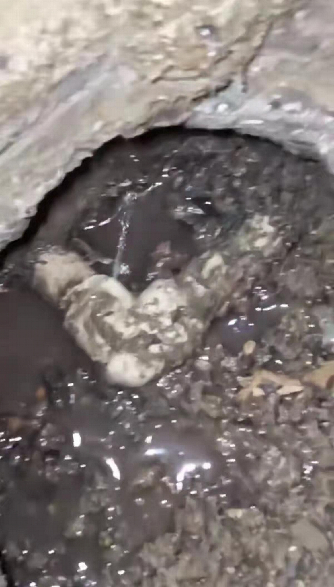 埋地管道检测漏水  墙体暗管漏水查漏修漏 4