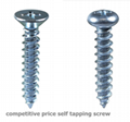 HIGH QUALITY FACTORY PRICE for self tapping screws 3