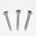Self tapping screw with coarse /fine