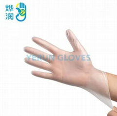 Disposable Vinyl Gloves