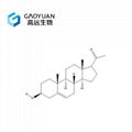 Pregnenolone 2