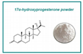 17α-hydroxyprogesterone Powder 1