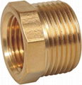 hot sale Wholesale Threaded Hex Nipple brass pipe fittings connector npt bspt th 1