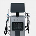 SKIN OXYGEN SYSTEM       oxygen facial treatment machine