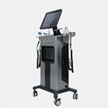 SKIN OXYGEN SYSTEM       oxygen facial treatment machine 4