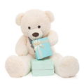 Custom logo Big Teedy Bear Stuffed Animals Giant Teddy Bears Plush Toy wholesale 1