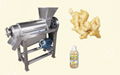 Semi-Automatic Ginger Juice Extraction