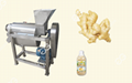 Semi-Automatic Ginger Juice Extraction processing machine 2